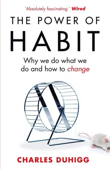 The Power of Habit (e-bok)