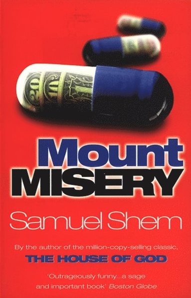 Mount Misery (e-bok)