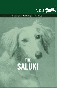 The Saluki - A Complete Anthology of the Dog (hftad)