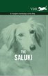 The Saluki - A Complete Anthology of the Dog