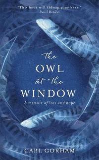 The Owl at the Window (inbunden)