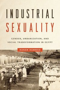 Industrial Sexuality (hftad)