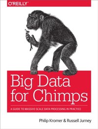Big Data for Chimps (e-bok)
