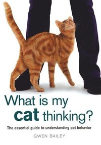  gwen bailey What Is My Cat Thinking? What Is My Cat Thinking?: The Essential Guide to Understanding Pet Behavior the Essential Guide to Understanding Pet Behavior
