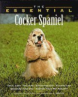  ian dunbar Essential Cocker Spaniel