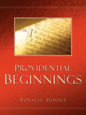 Providential Beginnings (hftad)