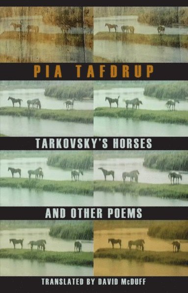 Tarkovsky's Horses and other poems (e-bok)