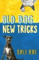 Old Dog, New Tricks (hftad)