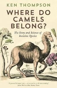 Where Do Camels Belong? (hftad)
