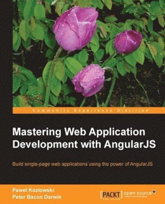 Mastering Web Application Development with AngularJS (hftad)