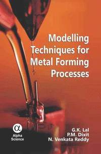 Modelling Techniques for Metal Forming Processes (inbunden)