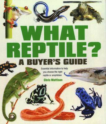 What Reptile? A Buyer's Guide (hftad)