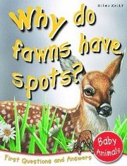 Why Do Fawns Have Spots? (hftad)