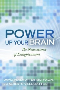 Power Up Your Brain (hftad)
