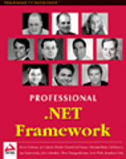 3d max Professional .NET Framework