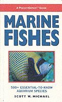  scott w michael Marine Fishes
