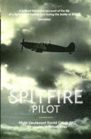 Spitfire Pilot (hftad)