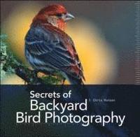 Secrets of Backyard Bird Photography (inbunden)