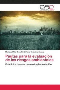 Pautas Para La Evaluacin De Los Riesgos Ambientales Maria Del Pilar