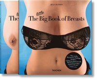 The Little Big Book of Breasts (inbunden)