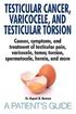 Testicular Cancer Varicocele And Testicular Torsion Causes Symptoms