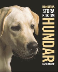  david taylor Bonniers stora bok om hundar