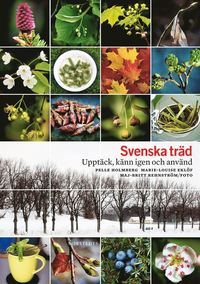 Svenska trd : upptck, knn igen och anvnd (inbunden)
