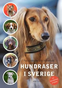 Hundraser i Sverige (kartonnage)