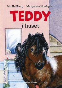 Teddy i huset (e-bok)