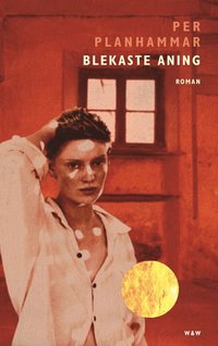 Omslagsbild: ISBN 9789146218333, Blekaste aning