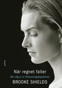 Omslagsbild: ISBN 9789151846767, N&auml;r regnet faller : min v&auml;g ut ur f&ouml;rlossningsdepression