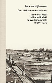 Den sktsamme arbetaren : ider och ideal i ett norrlndskt sgverkssamhlle 1880 - 1930 (inbunden)