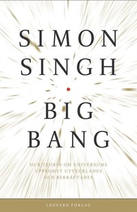 Big Bang (e-bok)