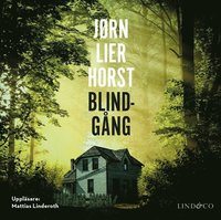 Blindgng (cd-bok)