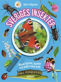 Bokomslag: Sveriges insekter - bland fjärilar, humlor och andra små kryp