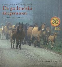 Djur och natur De Gotl�ndska Skogsrussen = Russ, The Wild Forest Ponies Of Gotland