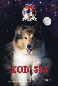 Kod 513 (inbunden)