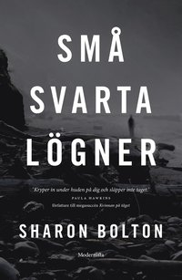 Små svarta lögner (e-bok)