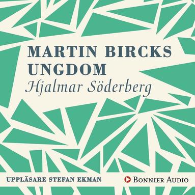 Martin Bircks ungdom (ljudbok)