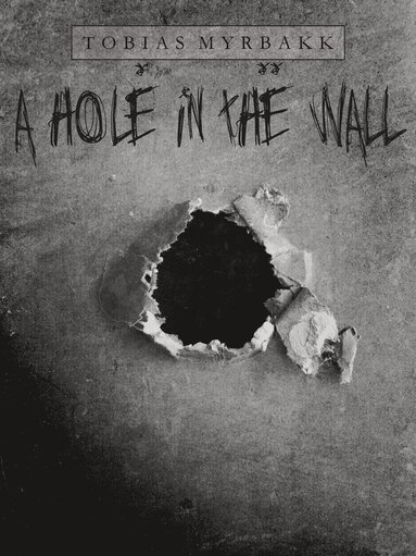 A hole in the wall (e-bok)