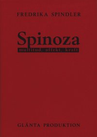 Spinoza: multitud, affekt, kraft  (e-bok)