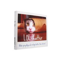 LOL-katter : bilder p gulliga och rrroliga katter frn internet (hftad)