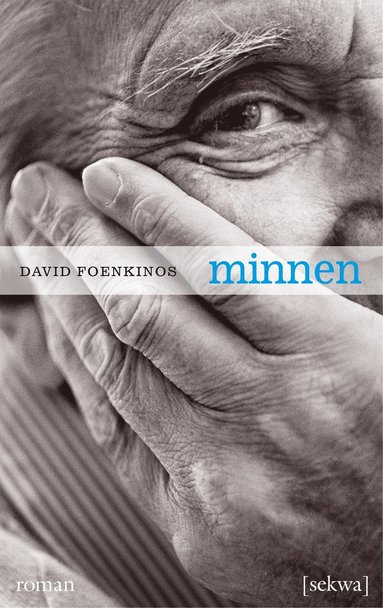 Minnen (e-bok)