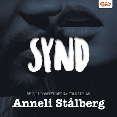 SYND - De sju ddssynderna tolkade av Anneli Stlberg (e-bok)