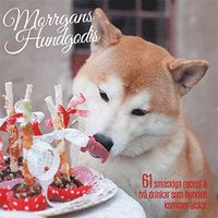 Morrgans hundgodis : 61 smaskiga recept & tv drinkar som hunden kommer lska (hftad)