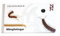 Omslagsbild: ISBN 9789188506344, F&auml;ltnyckeln : m&aring;ngfotingar