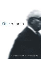 Efter Adorno (hftad)