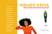  Malm� n�sta - Tolv samtal med folk som g�r n�t