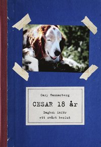 Cesar 18 r : dagbok infr ett svrt beslut (kartonnage)