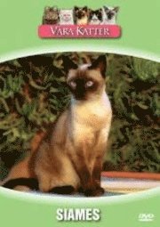 Omslagsbild: ISBN B200131279, V&aring;ra Katter - Siames